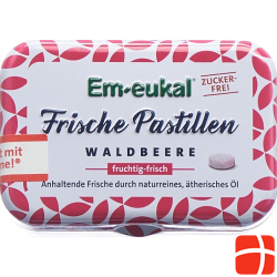 Soldan Em-Eukal Pastillen Waldb Zuckerf Xyl 20g