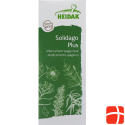 Heidak Spagyrik Solidago Plus Spray Flasche 30ml