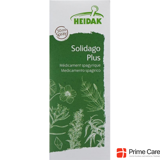 Heidak Spagyrik Solidago Plus Spray Flasche 30ml buy online