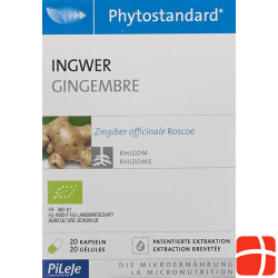 Phytostandard Ginger capsules organic 20 pieces