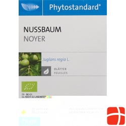 Phytostandard Nussbaum Kapseln Bio 20 Stück