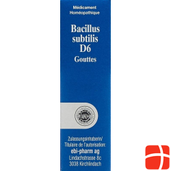 Sanum Bacillus Subtilis Tropfen D 6 (neu) Flasche 5ml