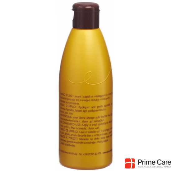 Sanotint Shampoo Oily Hair Bottle 200ml buy online