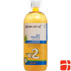 Zuccari Aloe Magnifica Flasche 1L