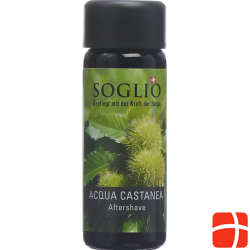 Soglio Aqua Castanea Flasche 100ml