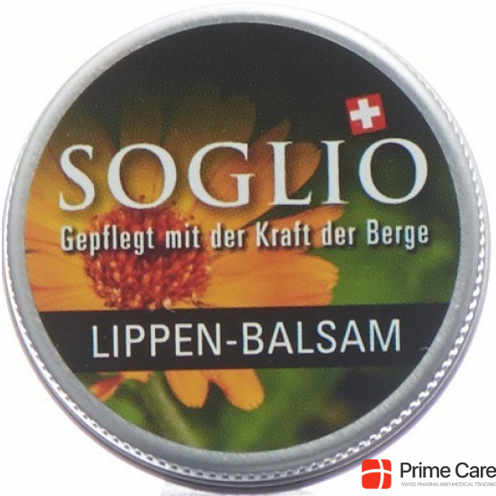 Soglio Lippen-Balsam Topf 15ml buy online