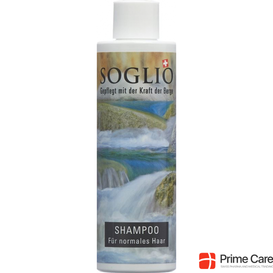 Soglio Shampoo für Normales Haar Flasche 200ml buy online