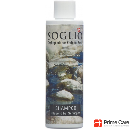 Soglio Shampoo Gegen Schuppen Flasche 200ml buy online