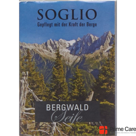 Soglio Bergwald-Seife 95g buy online