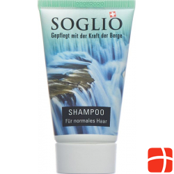 Soglio Shampoo für Normales Haar Tube 35ml