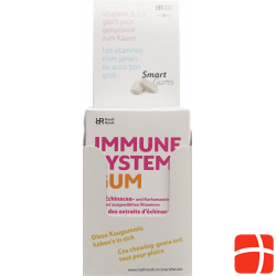 R&r Immune System Gum 10x 24 Stück