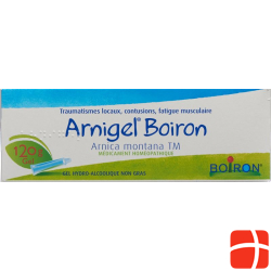 Arnigel Boiron Gel Tube 120g