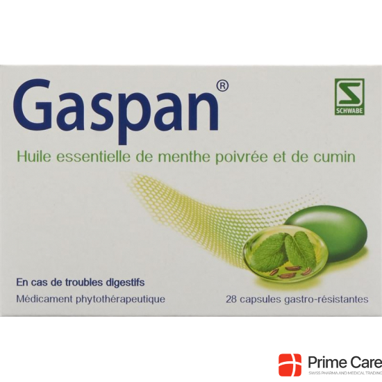 Gaspan Kapseln Magensaftresistent 28 Stück buy online