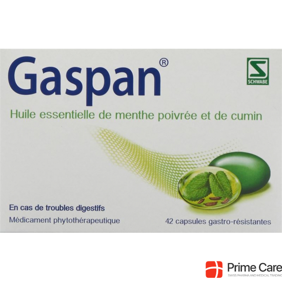 Gaspan Kapseln Magensaftresistent 42 Stück buy online