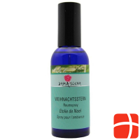 Damascena Raumspray Weihnachtsstern Bio 100ml