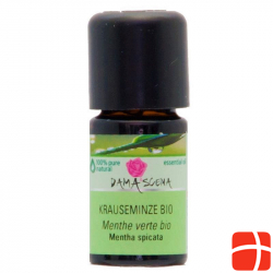 Damascena Krauseminze Ätherisches Öl Bio Flasche 5ml