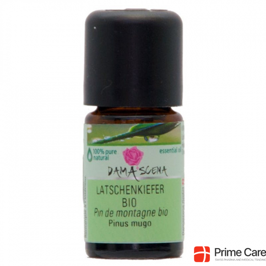 Damascena Latschenkiefer Ätherisches Öl Bio Flasche 5ml buy online