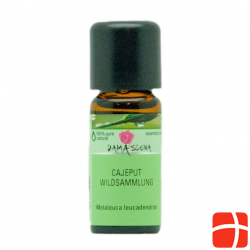 Damascena Cajeput Ätherisches Öl Ws Flasche 10ml