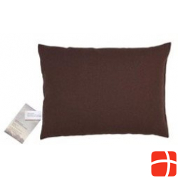 Sky Green Manager Cushion 40x60cm Brown