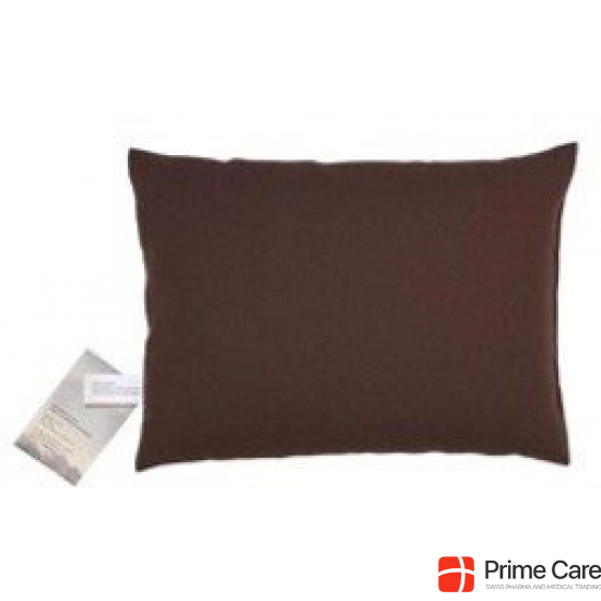 Sky Green Manager Cushion 40x60cm Brown buy online