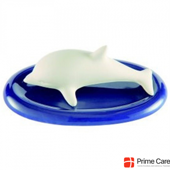 Damascena fragrance stone dolphin buy online