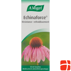 Vogel Echinaforce Resistenz-Erkältung Tropfen 50ml