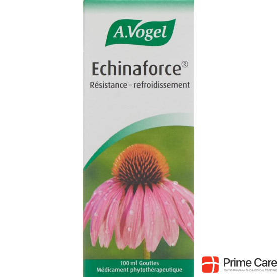 Vogel Echinaforce Resistenz-Erkältung Tropfen 100ml buy online