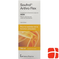 Soufrol Arthro Flex solution bottle 750ml