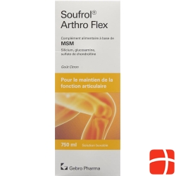 Soufrol Arthro Flex solution bottle 750ml