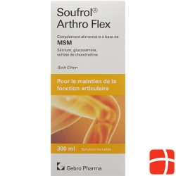 Soufrol Arthro Flex solution bottle 300ml