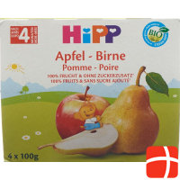 Hipp Fruchtpause Apfel Birne (neu) 4x 100g
