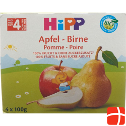 Hipp Fruchtpause Apfel Birne (neu) 4x 100g