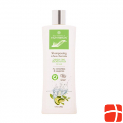 Montbrun Shampoo Fettiges Haar Seboreg Bio 250ml