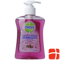 Dettol Pump-Seife Gardenberries 250ml