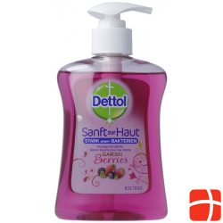 Dettol Pump-Seife Gardenberries 250ml