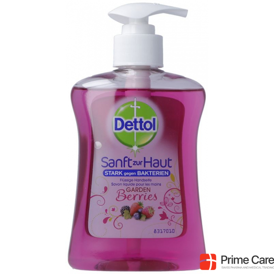 Dettol Pump-Seife Gardenberries 250ml buy online