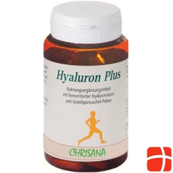 Chrisana Hyaluron Plus Kapseln Dose 90 Stück