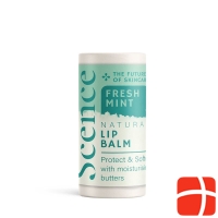Scence Lippenbalsam Fresh Mint 8.5g