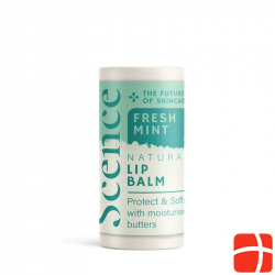 Scence Lippenbalsam Fresh Mint 8.5g