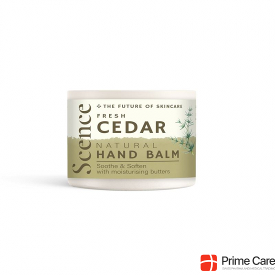 Scence Handbalsam Fresh Cedar 40g buy online