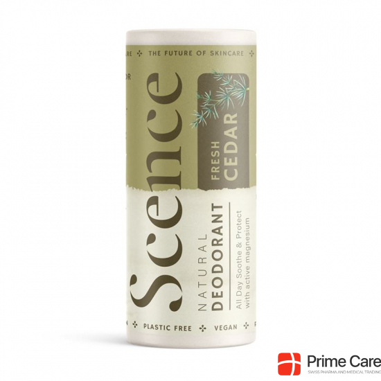 Scence Deo Balsam Fresh Cedar 75g buy online