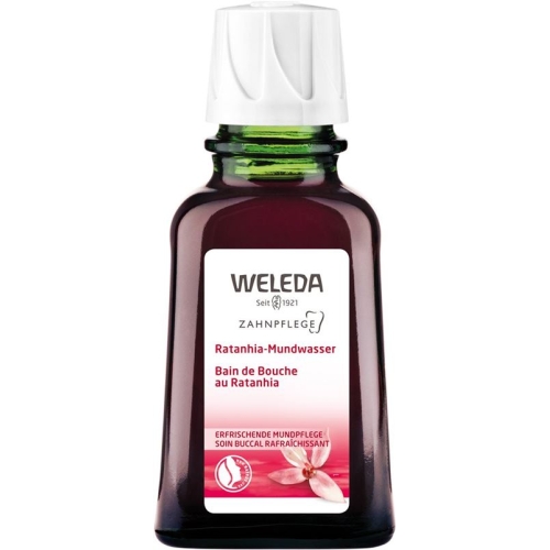 Weleda Ratanhia Mundwasser Konzentrat 50ml buy online