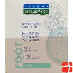 Therme Eduard Vogt Minze Fussbad 6x 30g