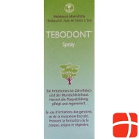 Tebodont Spray 25ml