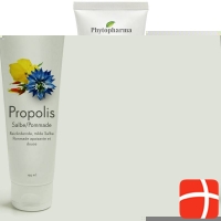 Phytopharma Propolis Salbe Tube 125ml