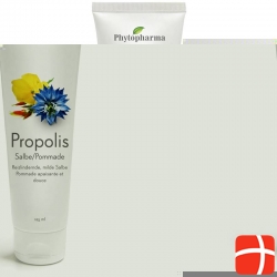 Phytopharma Propolis Salbe Tube 125ml