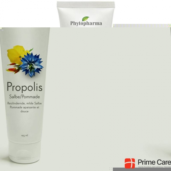 Phytopharma Propolis Salbe Tube 125ml buy online