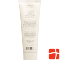 Phytopharma Wild Yam Salbe Tube 125ml