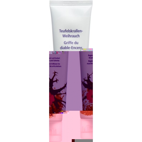 Phytomed Teufelskrallen-Weihrauch Creme Tube 100ml buy online