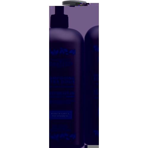 Beauterra Shampoo Extra Mild Regenerierend 750ml buy online